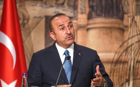 Çavuşoğlu: "Bir millətik, ehtiyac olarsa, bir dövlət kimi davranacağıq"