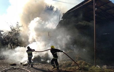 FHN düşmənin törətdiği dağıntılarla bağlı məlumat yaydı