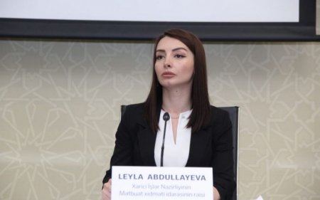 Leyla Abdullayeva: “Ermənistan Cenevrədə götürdüyü öhdəliyi pozur” - FOTO