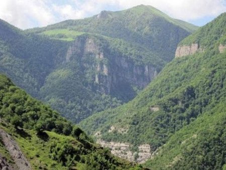 Ermənistan işğal etdiyi torpaqlarımızı talamaqla hansı gəlirləri əldə edib?