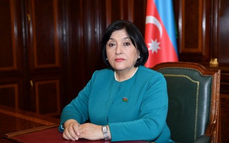 Sahibə Qafarova: "Dövlət başçısı nə qədər təzyiqlərə məruz qalsa da geri çəkilmədi"