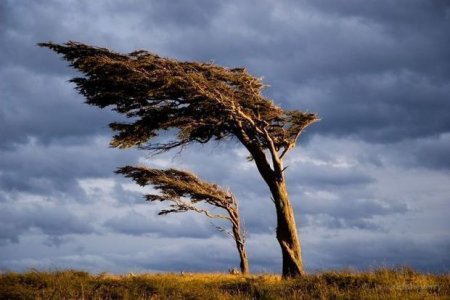 Hava şəraiti dəyişəcək - XƏBƏRDARLIQ