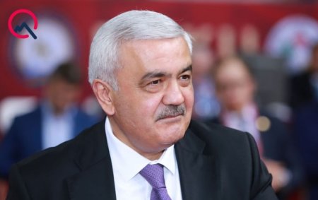 Rövnəq Abdullayev SOCAR rəhbəri vəzifəsindən azad edildi