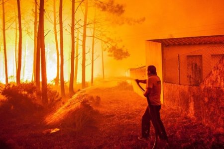 İspaniyada genişmiqyaslı meşə yanğını: Səkkiz kənd boşaldıldı