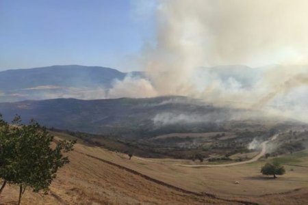 Şabranda baş verən yanğın Siyəzənə keçib