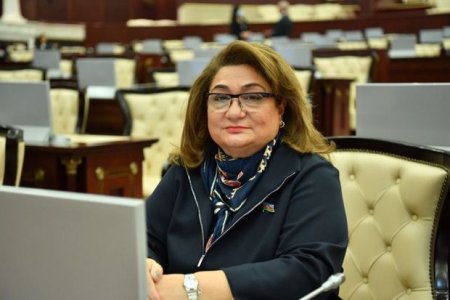 Komitə sədri: “Sosial yardım insanları xarab edib”