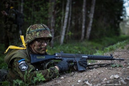 Estoniyada ehtiyatda olan hərbçlərin toplanışları başlayıb