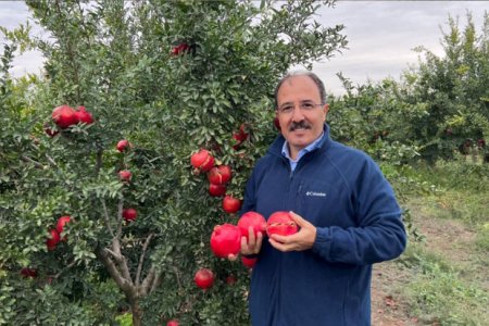 Türkiyəli diplomat Azərbaycan narından yazdı