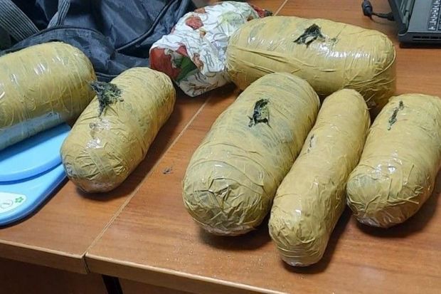 Polislər bir gün ərzində 17,3 kiloqrama yaxın narkotik vasitə aşkarladılar